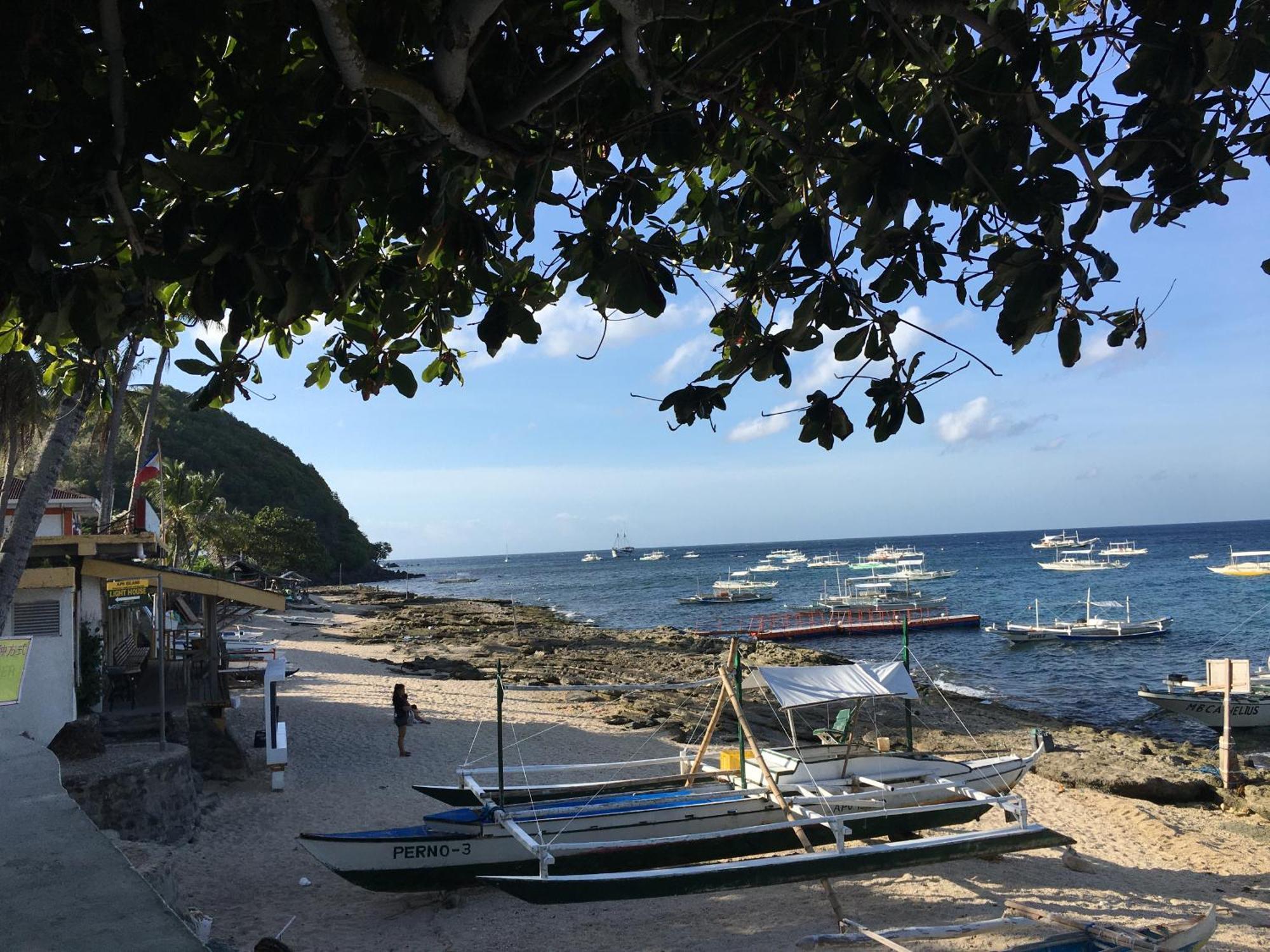 Liberty'S Lodge And Diving - Apo Island Dumaguete City Buitenkant foto