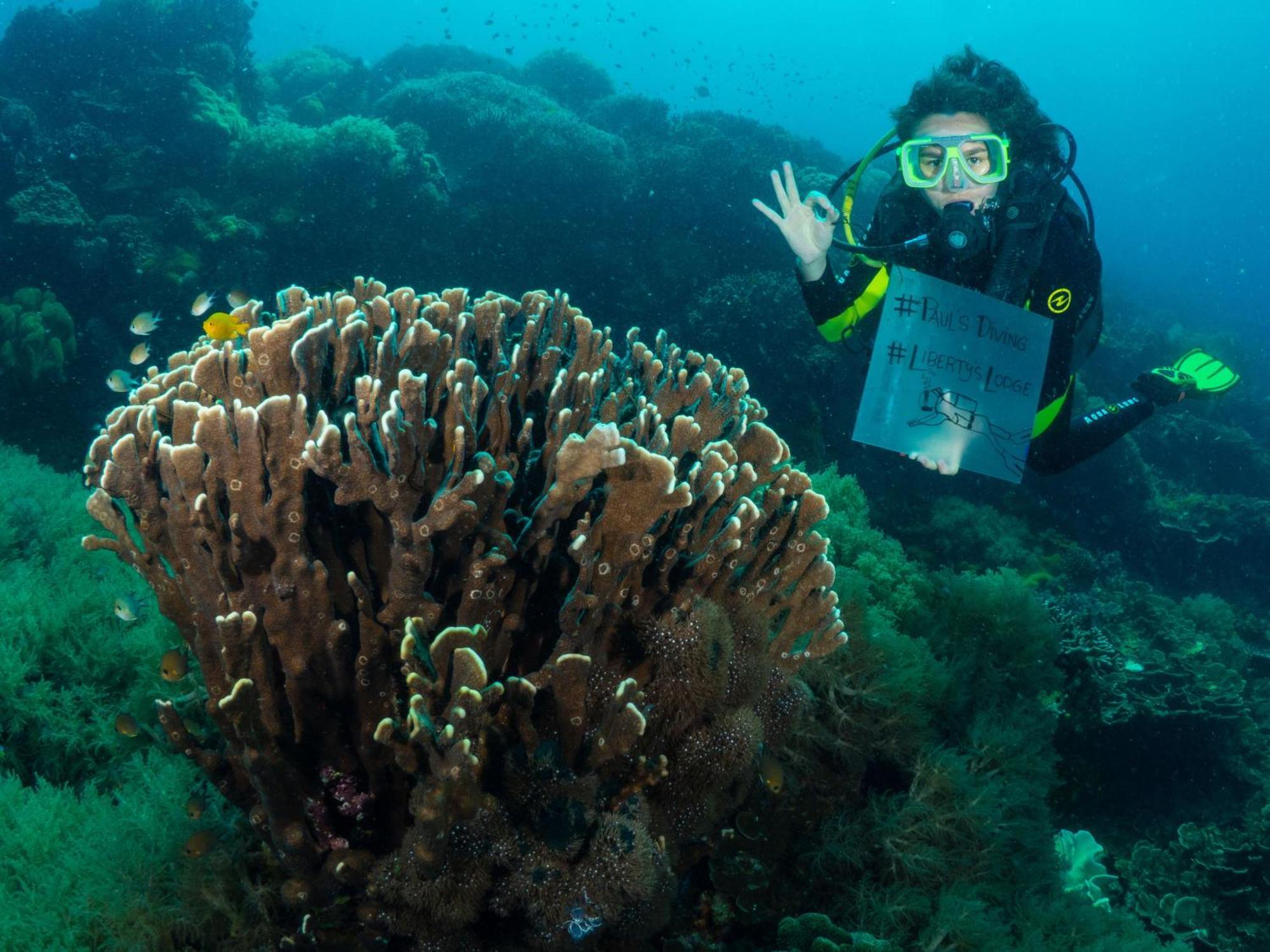 Liberty'S Lodge And Diving - Apo Island Dumaguete City Buitenkant foto