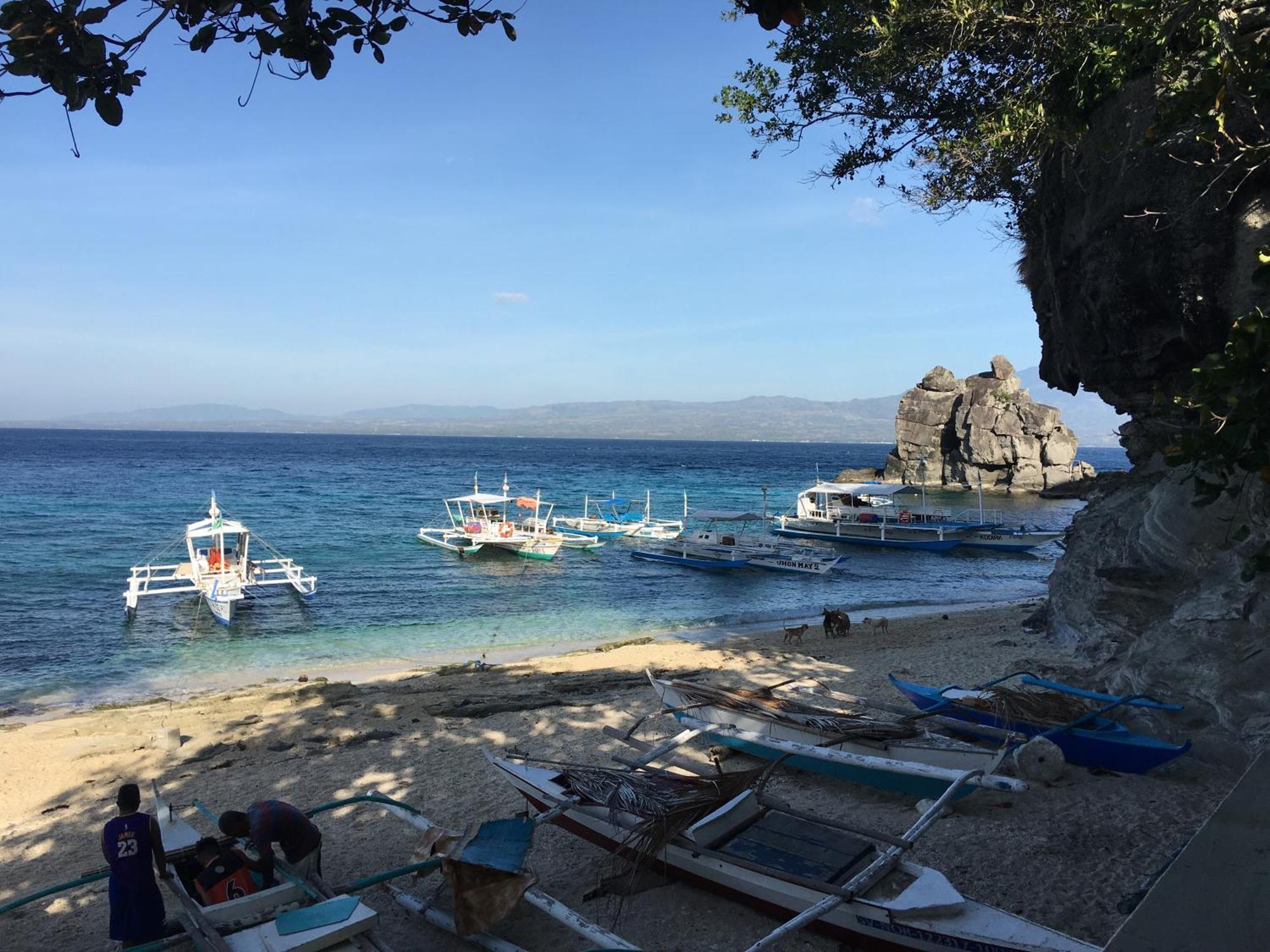 Liberty'S Lodge And Diving - Apo Island Dumaguete City Buitenkant foto